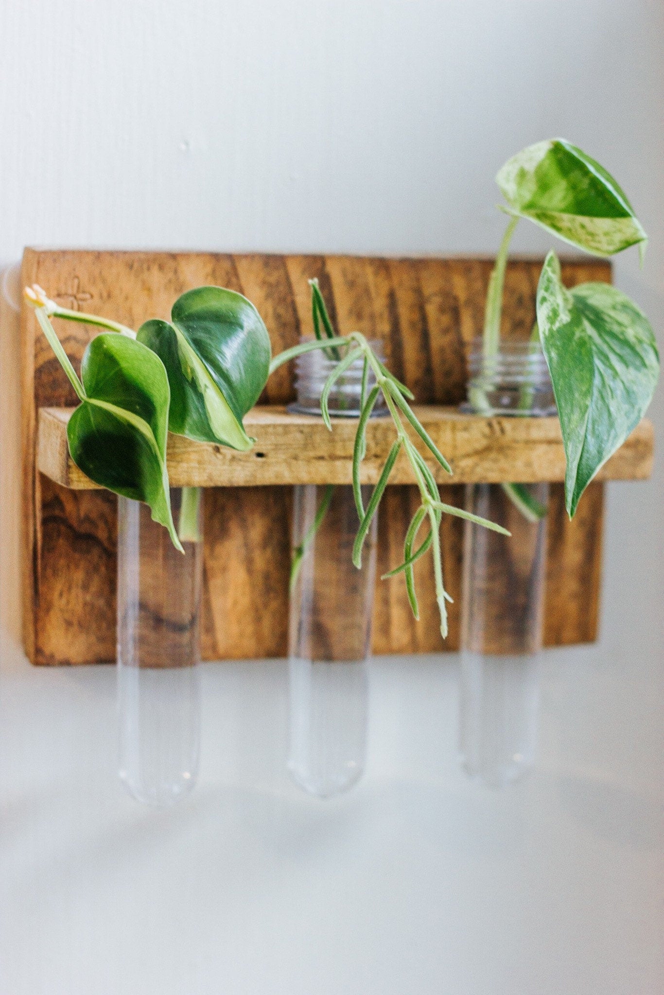 3 vial Hanging Propagation station