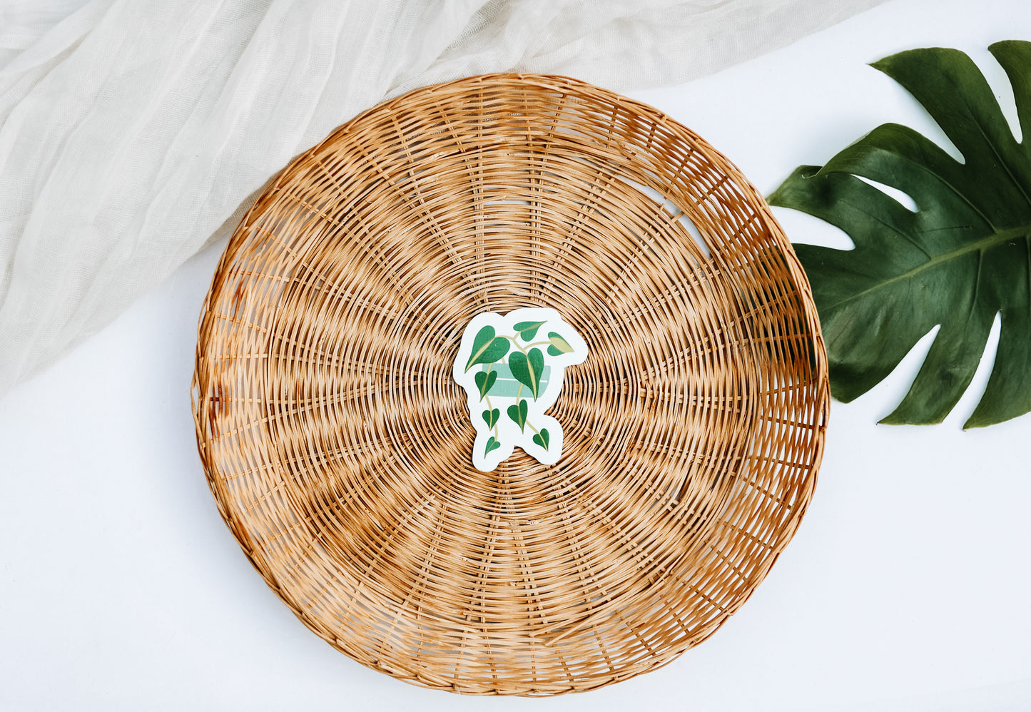 Houseplant Stickers | Pick your design