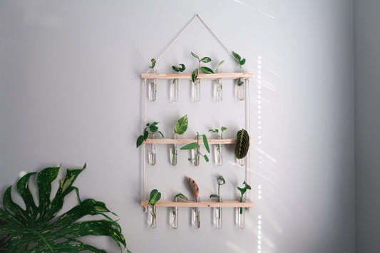 Hanging Propagation Station | Pick your size