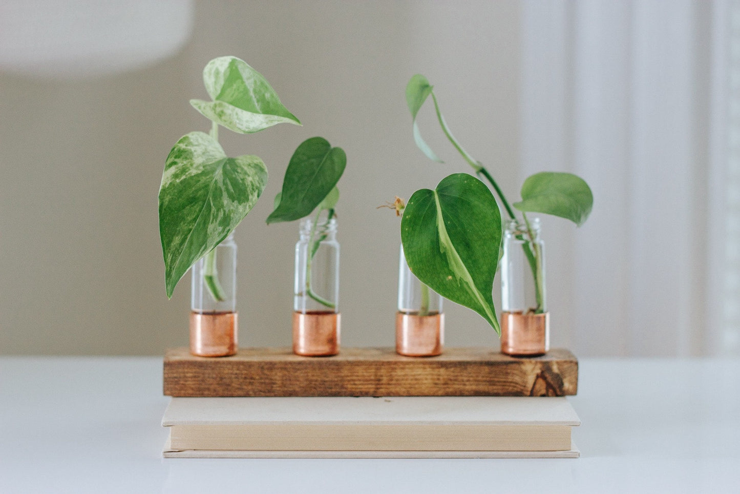 Copper Propagation Station | Pick your size
