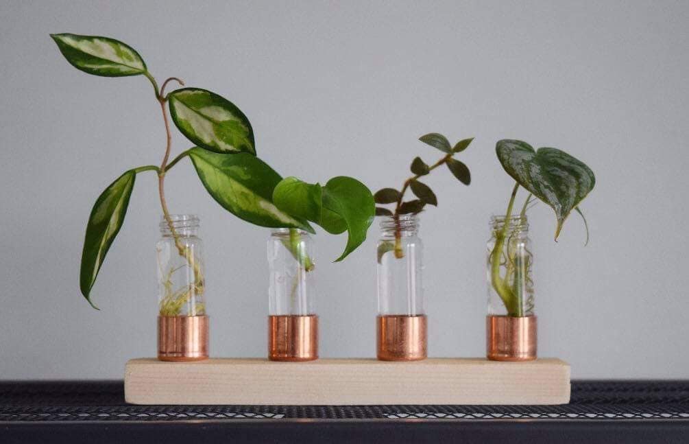 Copper Propagation Station | Pick your size