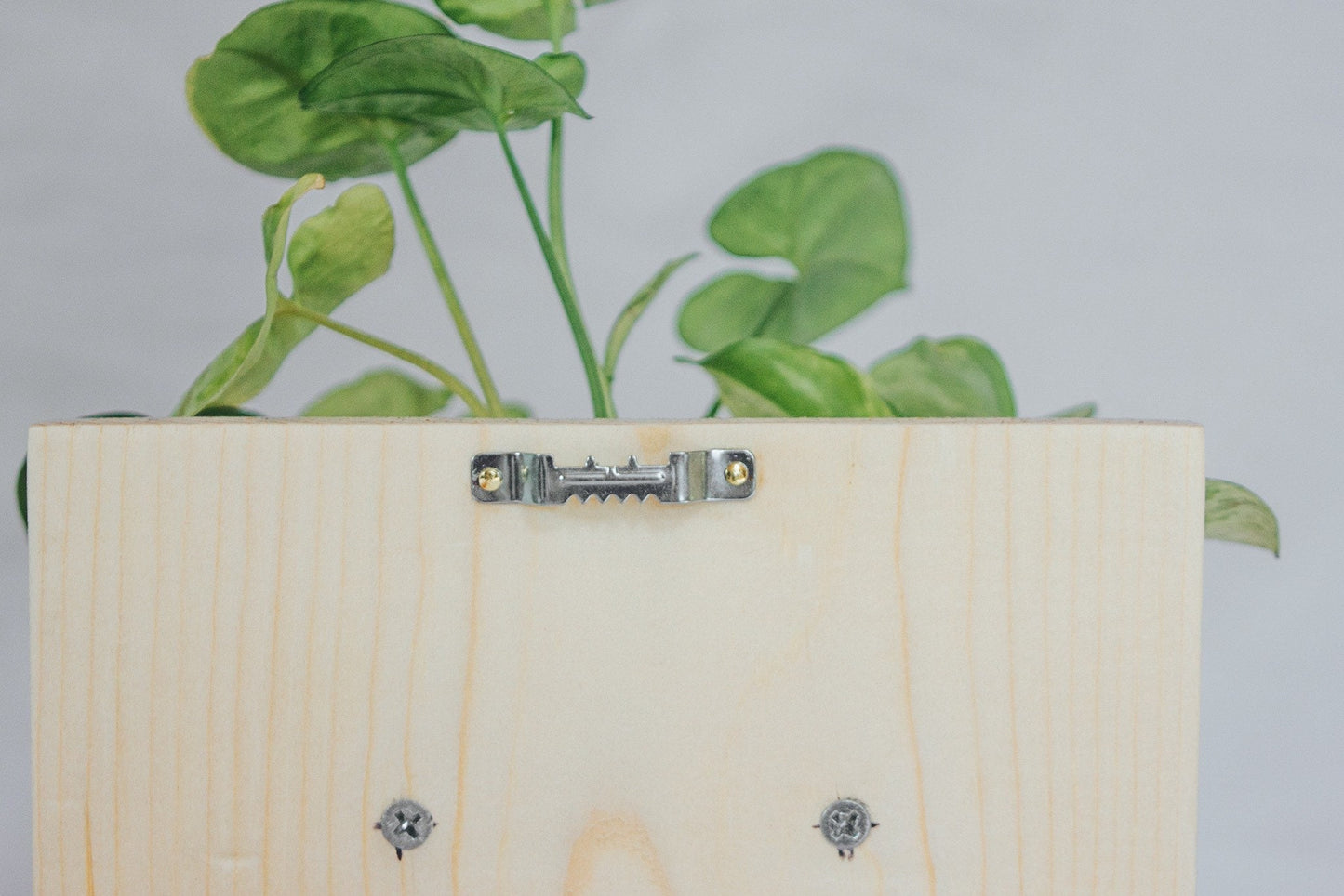 3 vial Hanging Propagation station