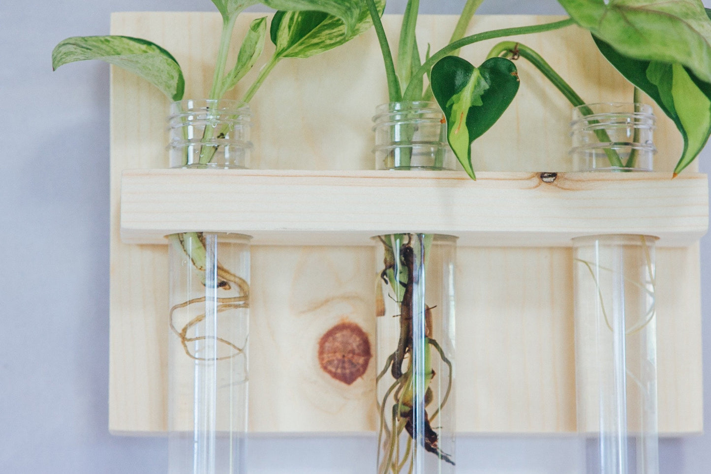 3 vial Hanging Propagation station