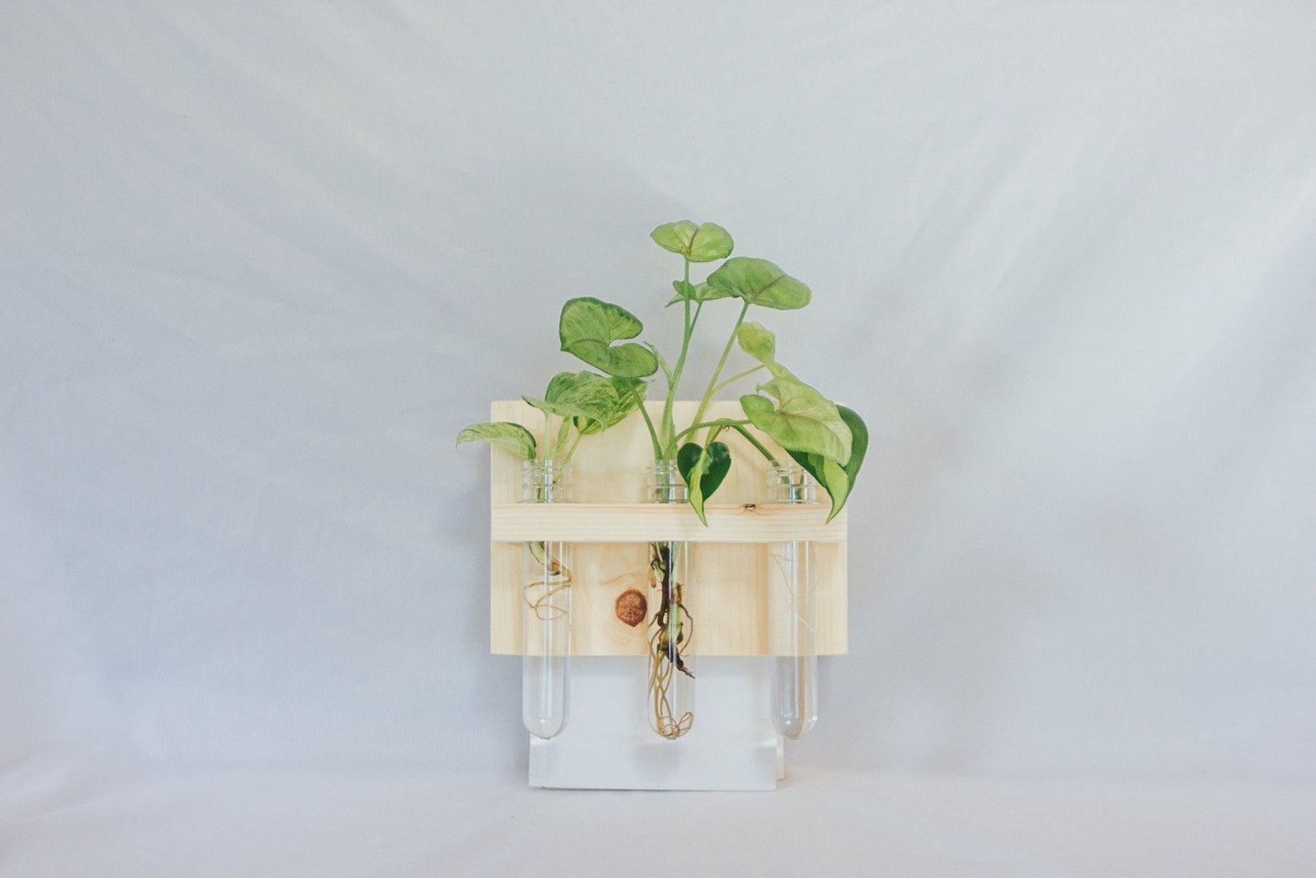 3 vial Hanging Propagation station