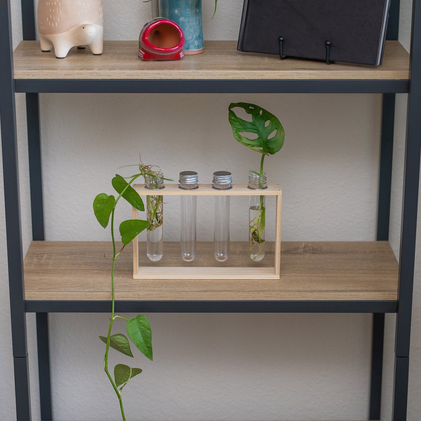 4 Vial Table Top Propagation Station